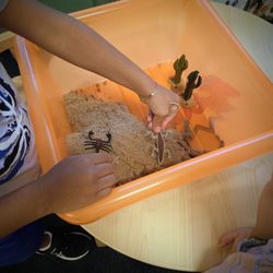 A desert-themed sensory bin invites children to explore sand, animals and habitats through imaginative play.