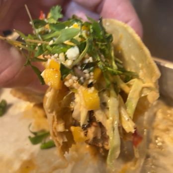 Tiger Lily - Mahi-mahi Tacos - Tacos Near Me - Easton, Maryland Tiger Lily - Mahi-mahi Tacos - Tacos Near Me - Easton, Maryland