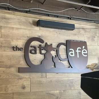 The Cat Cafe - Coffee & Tea Near Me - San Diego, California The Cat Cafe - Coffee & Tea Near Me - San Diego, California