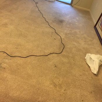 Pure Quality Services - Carpet Cleaning Near Me Pure Quality Services - Carpet Cleaning Near Me