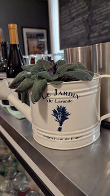 Blackberry River Bistro by null