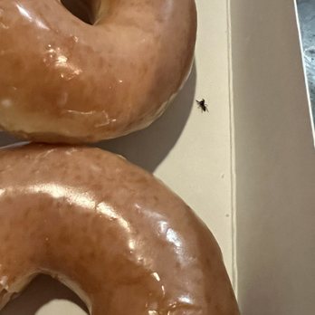 Krispy Kreme - Spider  calling around in my glaze donuts  after leaving the drive-through. - Donuts Near Me - Ontario, California