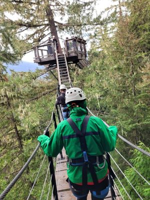 Ziptrek Ecotours by null