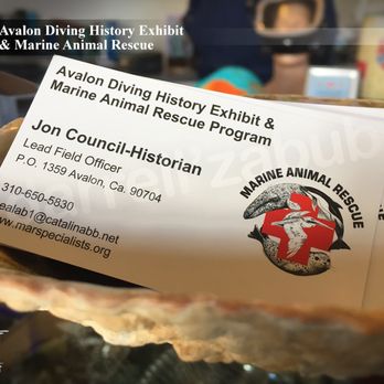 Marine Animal Rescue - Jon Council - Submersible pilot, diver, and historian. - Community Service/Non-Profit Near Me