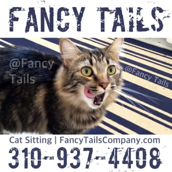 Fancy Tails - Toulouse probably licking tuna off her mouth. - Dog Walkers Near Me - Hermosa Beach, California