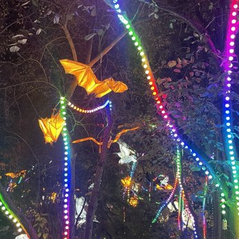 Boston Lights: A Lantern Experience - Local Flavor Near Me - Boston, Massachusetts Boston Lights: A Lantern Experience - Local Flavor Near Me - Boston, Massachusetts