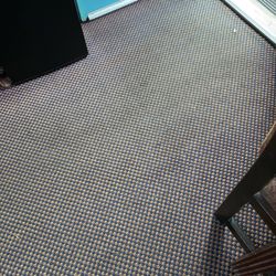 Southern Motel - Moldy old carpet.