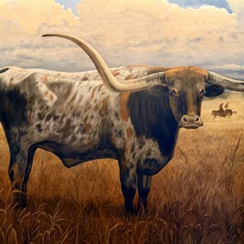 Double Cut Steak House - Steakhouses Near Me - Round Rock, Texas Double Cut Steak House - Steakhouses Near Me - Round Rock, Texas