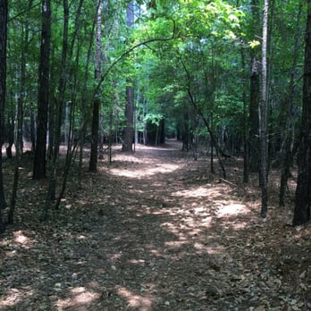 Lake Wateree State Park - Nature Trail - Parks Near Me - Winnsboro, South Carolina Lake Wateree State Park - Nature Trail - Parks Near Me - Winnsboro, South Carolina