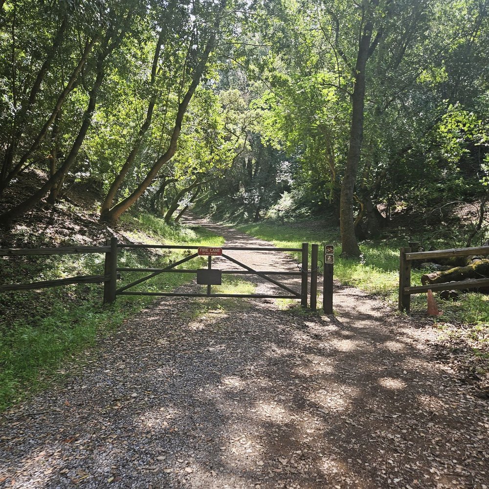 Black Mountain Trail - Hiking Near Me - Los Altos, California Black Mountain Trail - Hiking Near Me - Los Altos, California