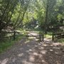 Photo of Black Mountain Trail