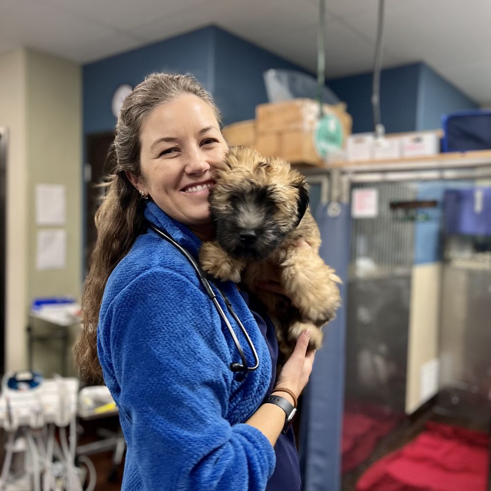 TOP 10 BEST Affordable Vet in Solana Beach, CA - Updated 2026 - Yelp