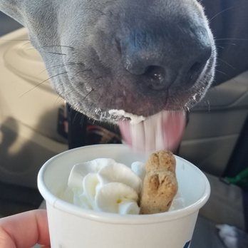 Dutch Bros Coffee - Puppachino - Coffee & Tea Near Me - Roseville, California Dutch Bros Coffee - Puppachino - Coffee & Tea Near Me - Roseville, California