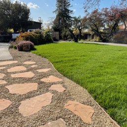 Large lawn and flag stone walkway. Large lawn and flag stone walkway.