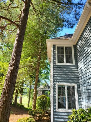 Tunnel driveway - This project was a fun one on the lake where customer had a long driveway overgrown  and wanted to cleanup the overgrowth of his beautiful trees around his magnificent house to add some appeal to go on the market for sell.