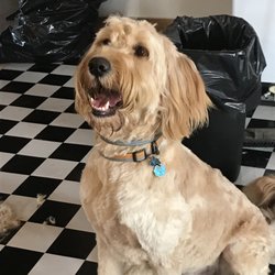 Gima's Grooming