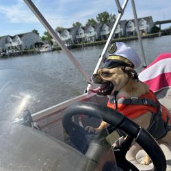Grand Haven Boat Rental - Boat captain Mochi