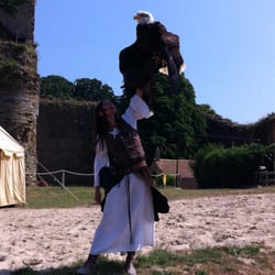 Château de Talmont - Superbe spectacle de fauconnerie !