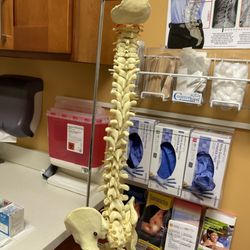 To Help Everyone Health and Wellness Centers - Chiropractic
