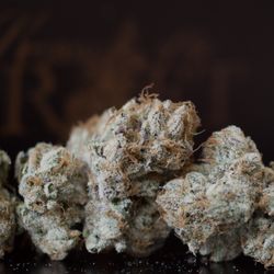 Craft - Raspberry Cookies from Keepers of the Craft