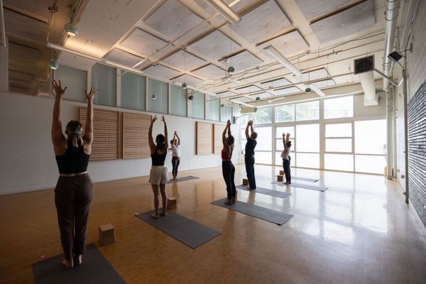 Bouldering Project - Poplar by null