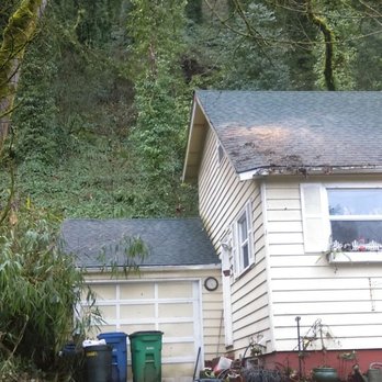 Mr. Tree - Before and after. - Tree Services Near Me - Portland, Oregon Mr. Tree - Before and after. - Tree Services Near Me - Portland, Oregon
