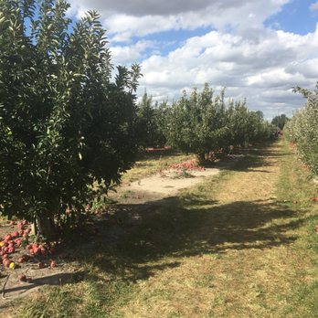 Tuttle Orchards - Apple orchard - Fruits & Veggies Near Me - Greenfield, Indiana Tuttle Orchards - Apple orchard - Fruits & Veggies Near Me - Greenfield, Indiana