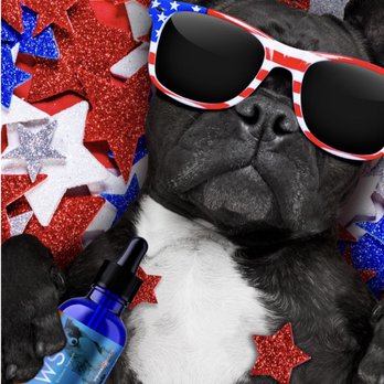 HempXa - Happy 4th July. Let's take care of your pets anxiety. - Vitamins & Supplements Near Me - Wylie, Texas HempXa - Happy 4th July. Let's take care of your pets anxiety. - Vitamins & Supplements Near Me - Wylie, Texas