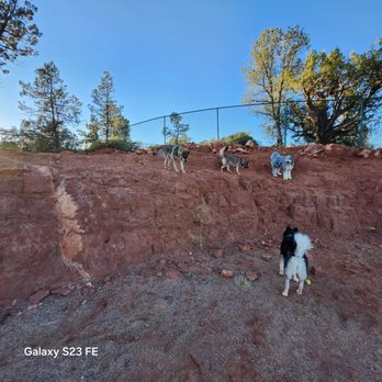 Dog Park - Call of the wild...lol - Dog Parks Near Me - Sedona, Arizona Dog Park - Call of the wild...lol - Dog Parks Near Me - Sedona, Arizona