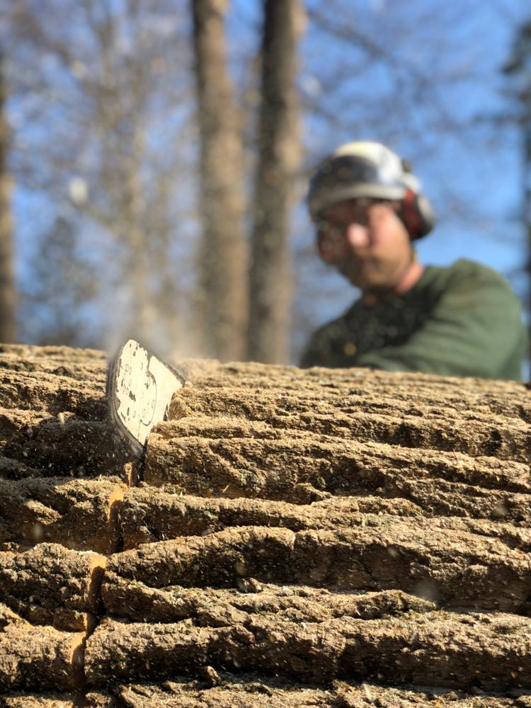 Reaching Higher - tree service in Gap, PA