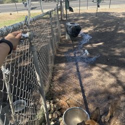 Loma Linda Dog Park