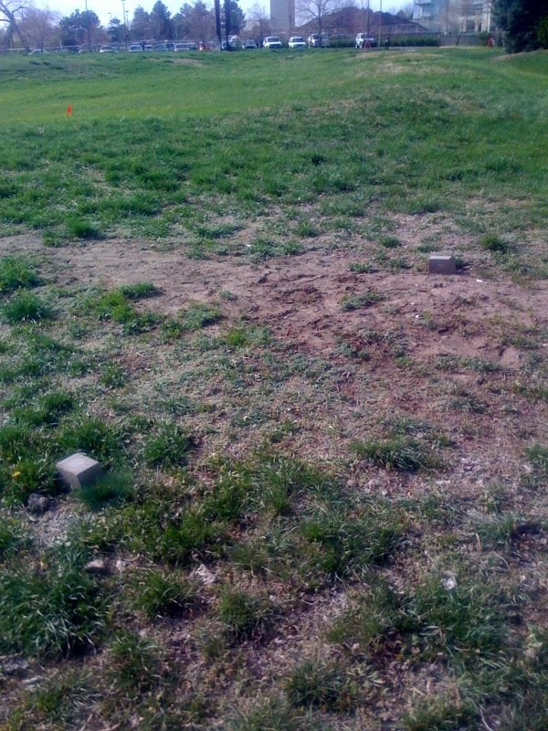 Social spots from Disc Golf - Rocky Mountain College of Art & Design