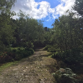 Lickey Hills Country Park - Parks Near Me - Birmingham, XWM