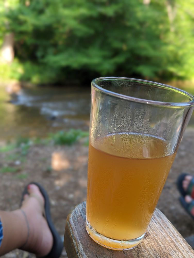 Brewing Tree Beer Company