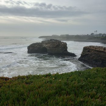 Natural Bridges State Beach - Beaches Near Me - Santa Cruz, California Natural Bridges State Beach - Beaches Near Me - Santa Cruz, California