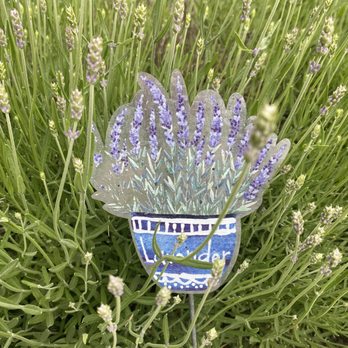 Zen Cafe - Smell the aroma of lavender! - Cafes Near Me - Put-in-Bay, Ohio Zen Cafe - Smell the aroma of lavender! - Cafes Near Me - Put-in-Bay, Ohio
