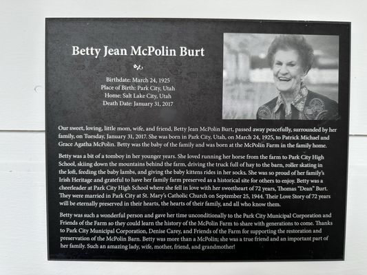 McPolin Barn by null