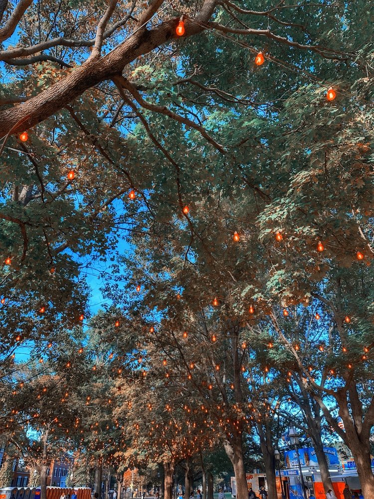 Salem Common Image