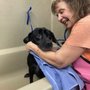 Photo of Dirty Dog DIY Pet Wash & Pawstry Shop