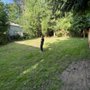 Photo of Canber Landscaping