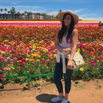 The Flower Fields - Best in the afternoons when marine layer has burnt off and the blue sky is out! - Venues & Event Spaces Near Me - Carlsbad, California The Flower Fields - Best in the afternoons when marine layer has burnt off and the blue sky is out! - Venues & Event Spaces Near Me - Carlsbad, California