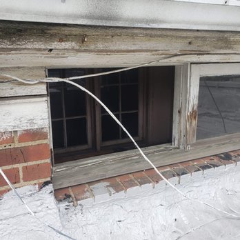Redex Pest And Mold - Pest Control Near Me - Cleveland, Ohio Redex Pest And Mold - Pest Control Near Me - Cleveland, Ohio