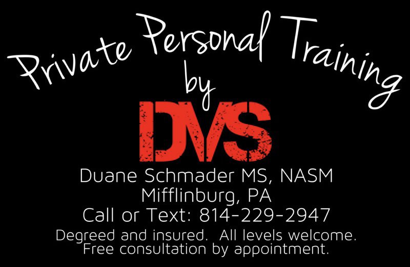 Private Personal Training by DVS Logo