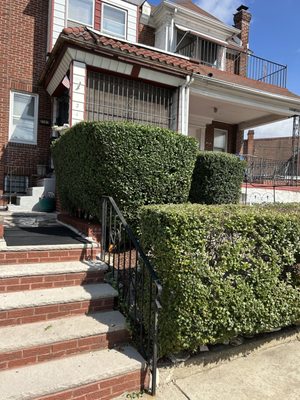 Nephewz Construction Logo