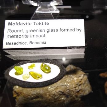 Mesalands Dinosaur Museum - Museums Near Me - Tucumcari, New Mexico Mesalands Dinosaur Museum - Museums Near Me - Tucumcari, New Mexico