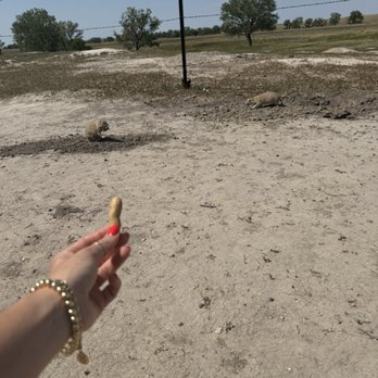 The Ranch Store - Convenience Stores Near Me - Philip, South Dakota