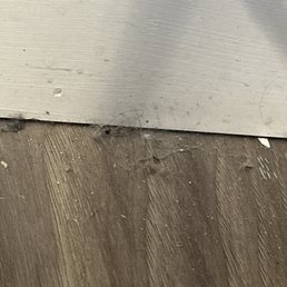 Floor behind plant after cleaning Floor behind plant after cleaning