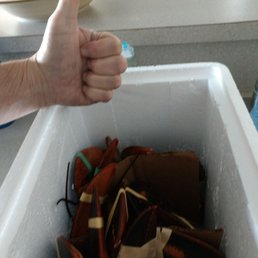 a person giving a thumbs up a person giving a thumbs up