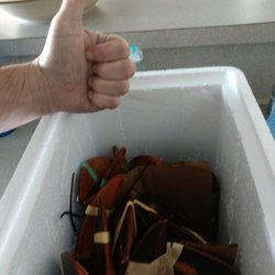Maine Lobster Direct