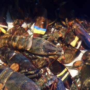 Red Lobster - Lobsters :( - Seafood Near Me - Orlando, Florida